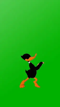 IS THAT DONALD DUCK?