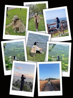 8Pic Frame Aesthetic