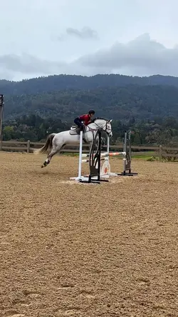 bit long😭😭| ‼️⚠️FAKE⚠️‼️