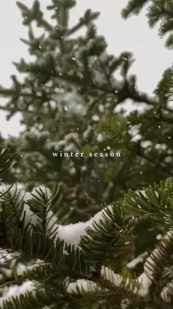 winter season