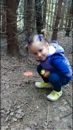 La vida es un carous