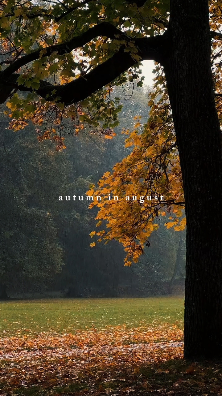 autumn in august