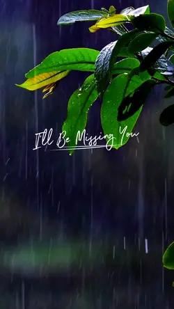 I'll be missing you