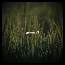 grass :3
