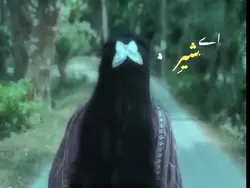  #عرب

اے شیر 