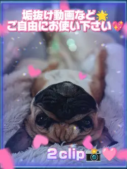 垢抜け動画などに/2clip