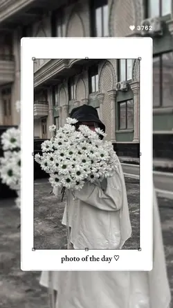 frame estetik 1foto