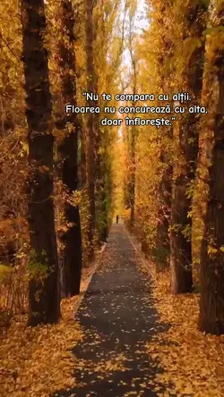 citate