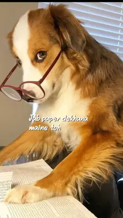 Me At Exam