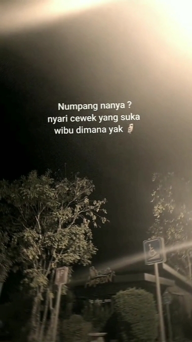 -1 cwe wibu