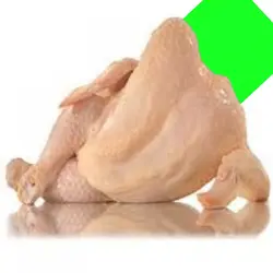 sexy chicken 