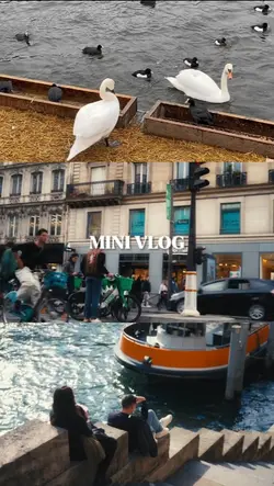 3 grid video's