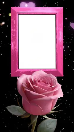 Color Pink