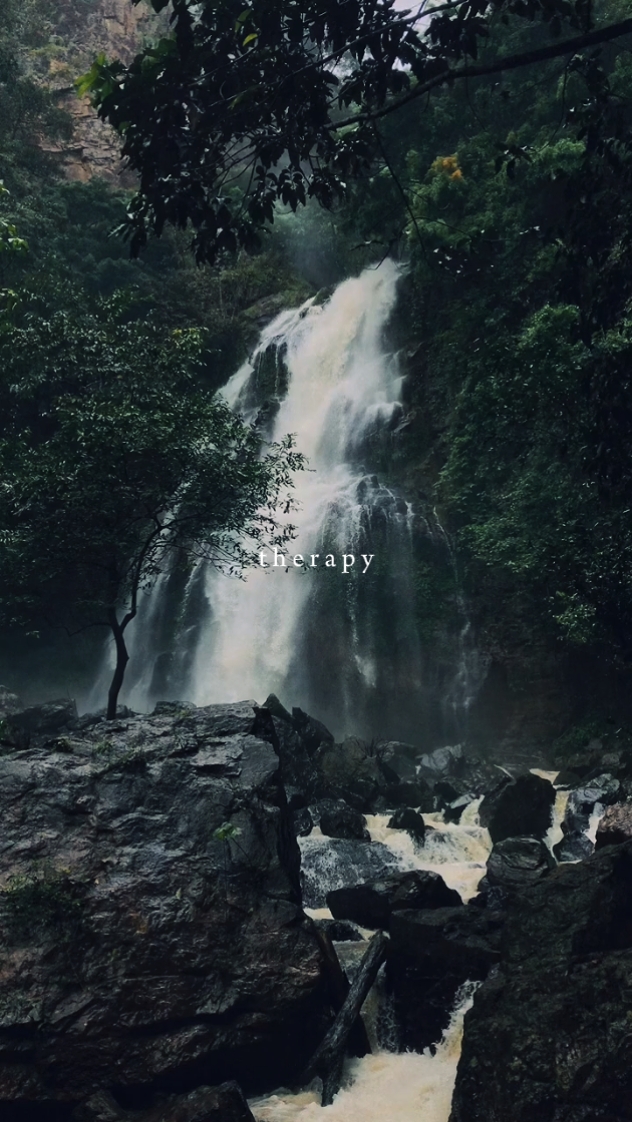 Therapy