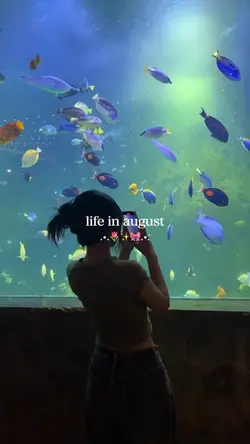 LIFE IN AUGUST