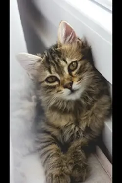 So einfach ist es 😆