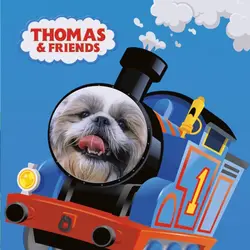 Thomas and Friends 🐶