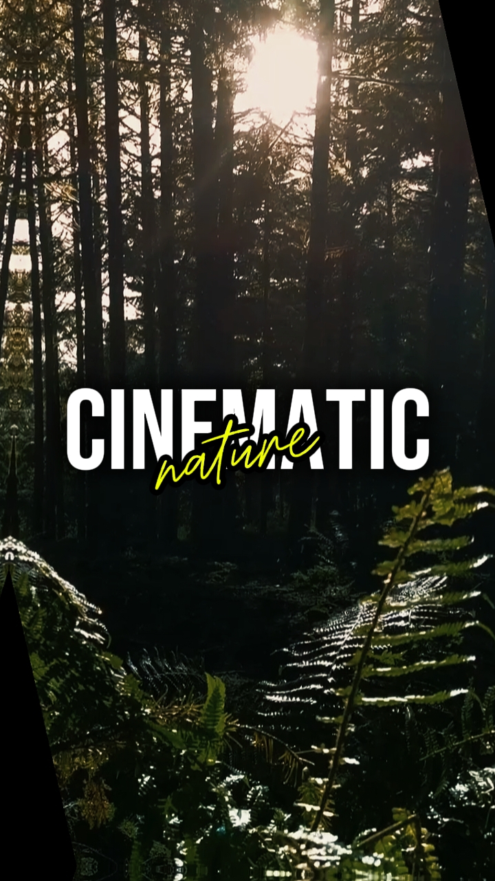 CINEMATIC NATURE