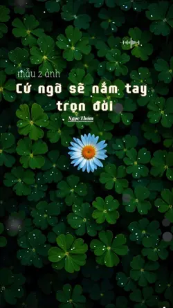 Cứ ngỡ sẽ nắm tay..