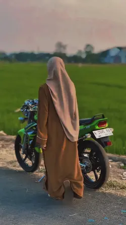 aku datang melamarmu