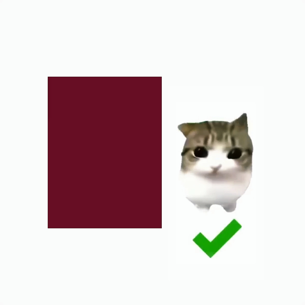 Dam Dam Di Cat