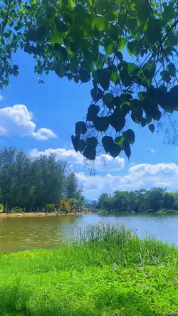 เพลงเพราะ+1วิดีโอ+โทน