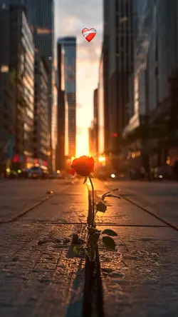 Yeni şablon 🫶🏻❤️‍🩹