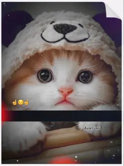 pasht poetry templat