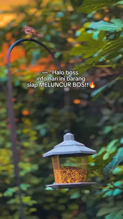 Siap meluncur boss
