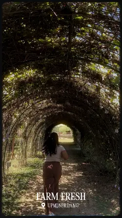 Explore 