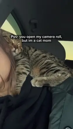 im a cat mom