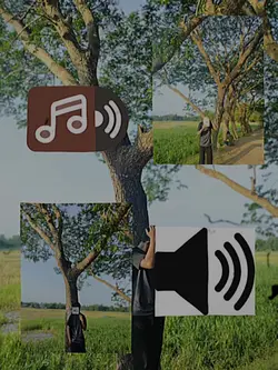3 picture themplate
