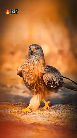 Apny Ap Ko King Keht