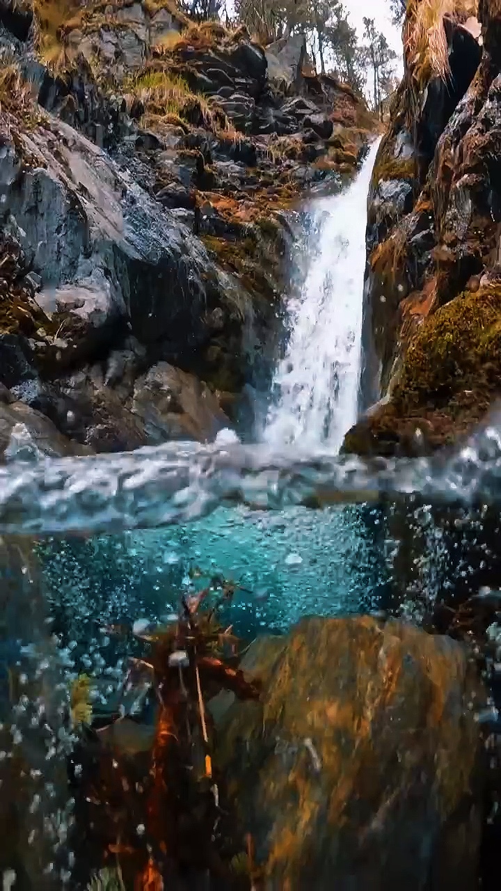 Aventura cinematográfica