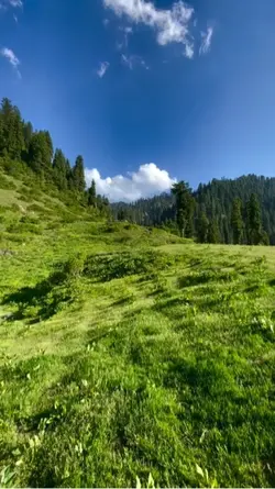 Jamu Kashmir
