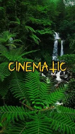 12 Cinematic Videos