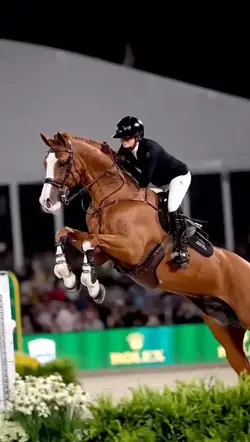 Cheval ralenti 