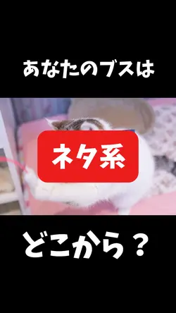 あなたのブスはどこから？