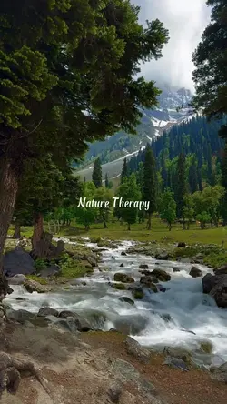 nature therapy