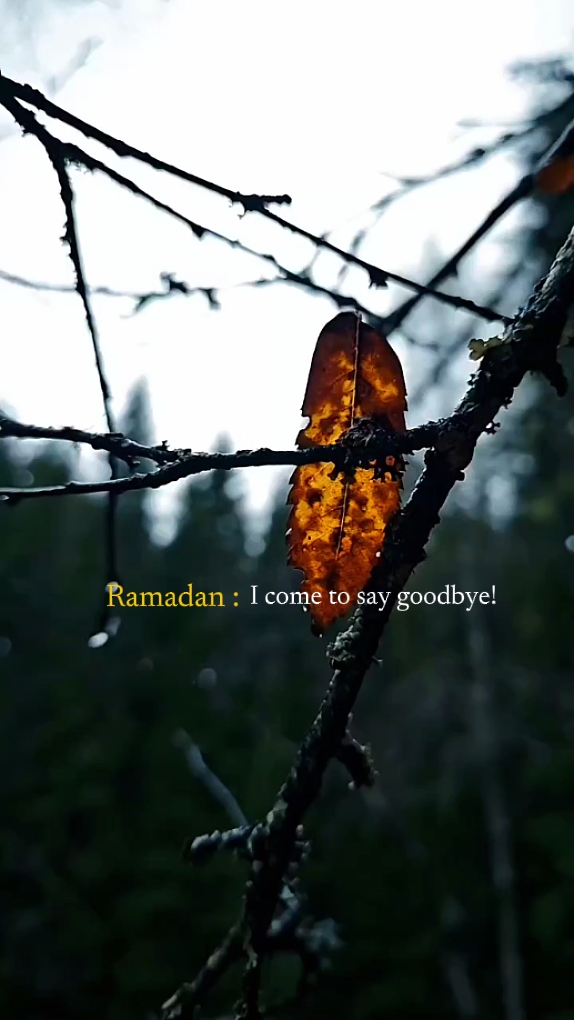 Selamat tinggal Ramadhan