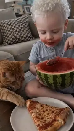 baby n cat fun