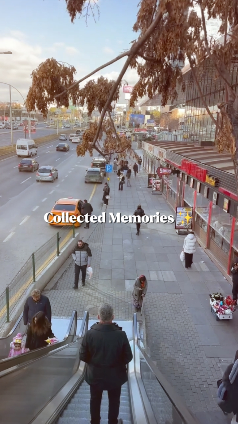 Recuerdos Coleccionados