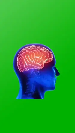BRAIN ANALYSIS MEME
