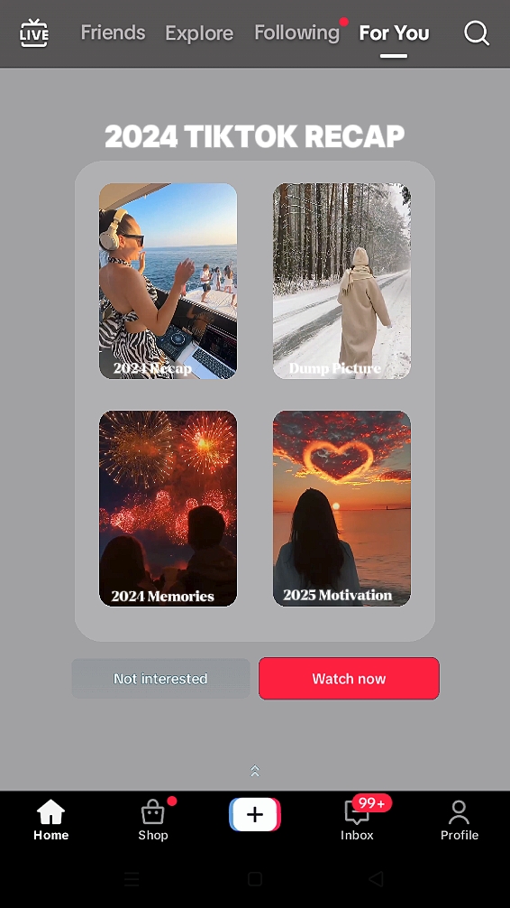 Resumen de TikTok 2024