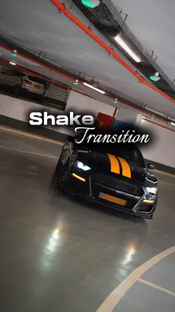 SHAKE TRANSITION 