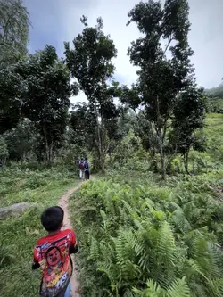 เพลงสุดแต่จะไขว่คว้า🖤🫀