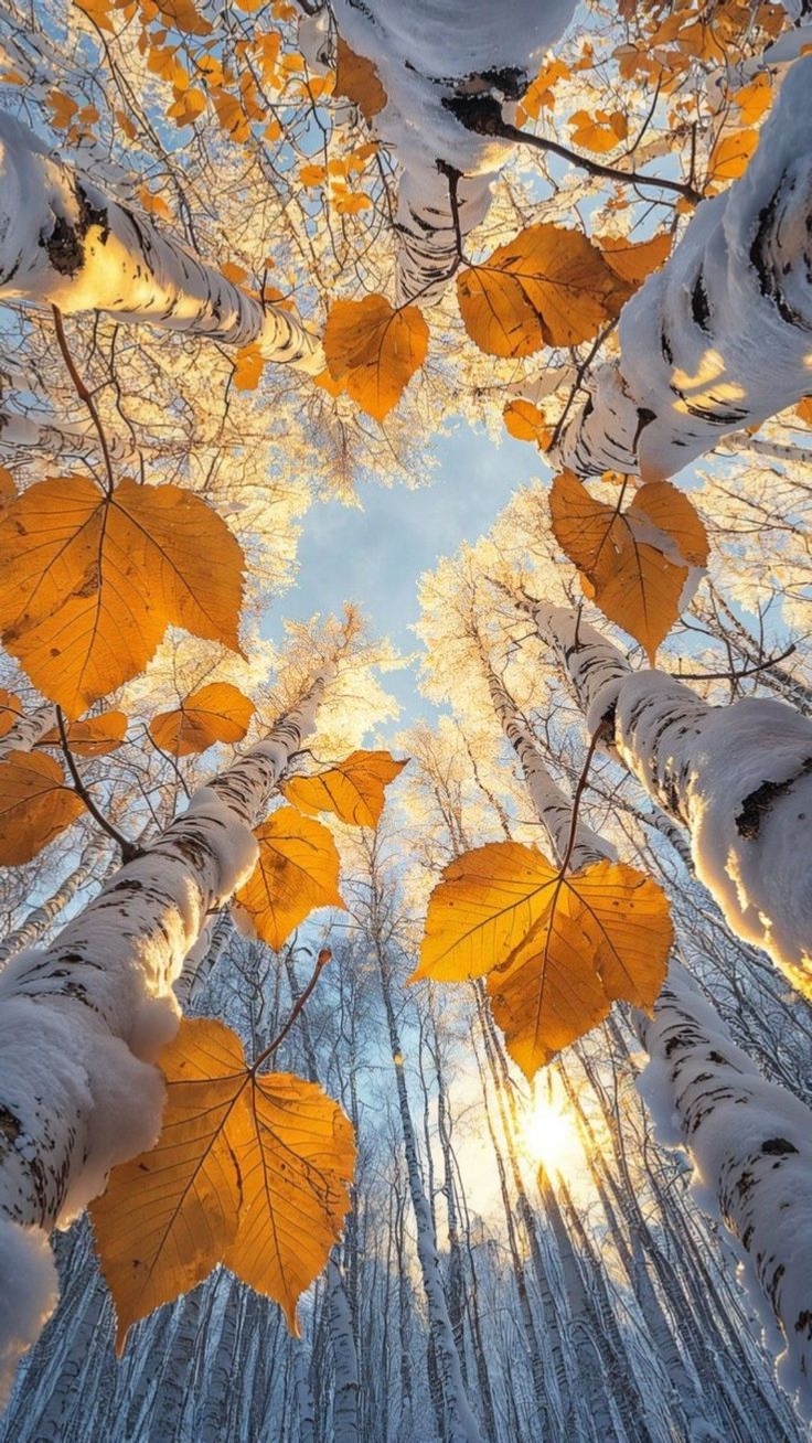 9 photos Autumn 