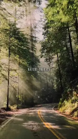 Nature Therapy