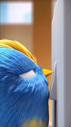 New Trend