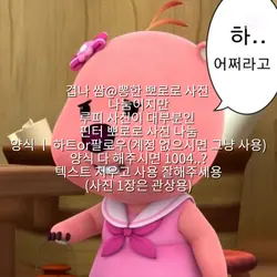 사진 나눔